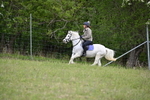 WJ6_1416