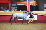 SBM_14693