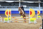 SBM_001513
