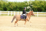 SBM_006615