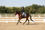 SBM_006860