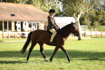 SBM_29332