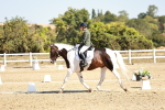 SBM_017450
