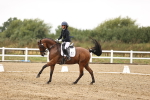 SBM_006775