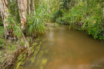 Alligator Creek, Daly Region, NT