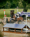 Houghton 250519 2395a
