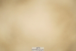 240309-113012-00382