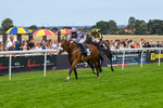 300826-Race 5-Harb-1112