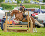 Dunblane show-350