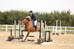 SBM_001373