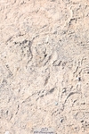 250404-154825-07242