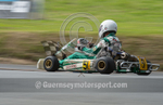 Hillclimb_25-05-2015_KART-73