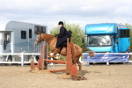 SBM_17381