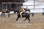 BPP_0390