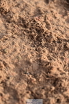 231203A-122742-01159