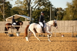 SBM_31494