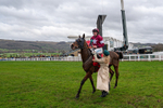240126-Race 4-Favori De Champdou-4409