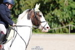 Class 49 1m 05 Amateur Qualifier Snr 1m 05 portfolio
