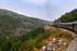 On the White Pass and Yukon Railway - DSC_5813