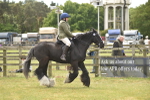 SBM_15963