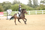 SBM_001662