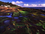 Pirates Cove 01