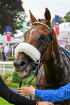 250725-Race 2-Rock N Roll Pinkie-0451