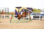 SBM_01691