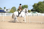 SBM_17491