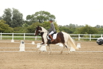 SBM_007130