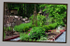 Eija's Garden 2