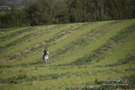 PtP 250921 049