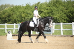 SBM_007997