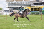 BPP_6491