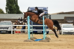 SBM_003724