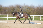 SBM_003391