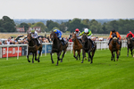 290826-Race 1-Trilby-5236