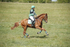 BVHT 140517  IXC -6