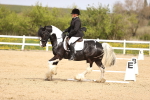 SBM_007509
