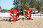 SBM_34413