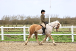 SBM_006893
