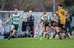 Guernsey Raiders v Hertford-48