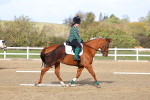 SBM_002315