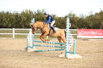 SBM_000264