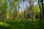 Nuuksio National Park, Uusimaa, Finland