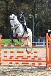Class 8: Senior Foxhunter/1.20 open portfolio