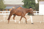 SBM_07749