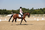 SBM_005713