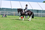 SBM_12241