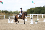 SBM_015346